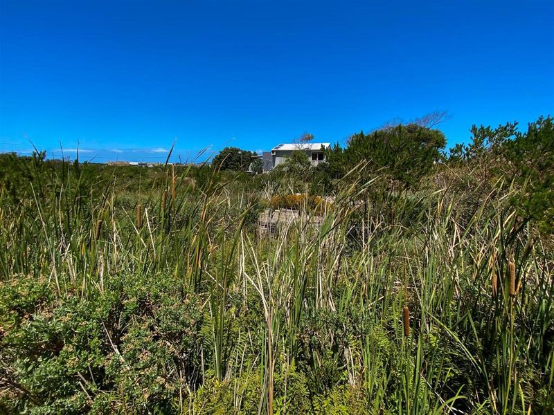 Nature-Lover’s Dream Stand | 880sqm with Kogelberg Mountain Views | Mountain Stream on Site - Photo 2