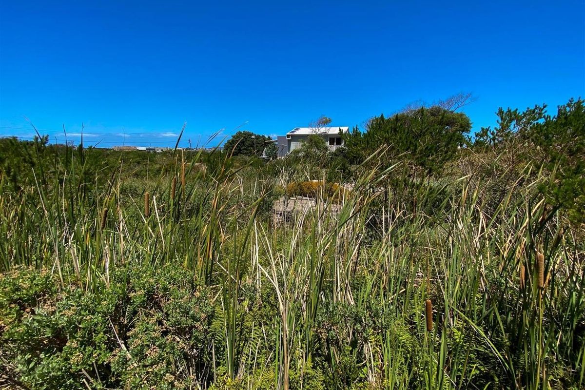 Nature-Lover’s Dream Stand | 880sqm with Kogelberg Mountain Views | Mountain Stream on Site - Photo 2