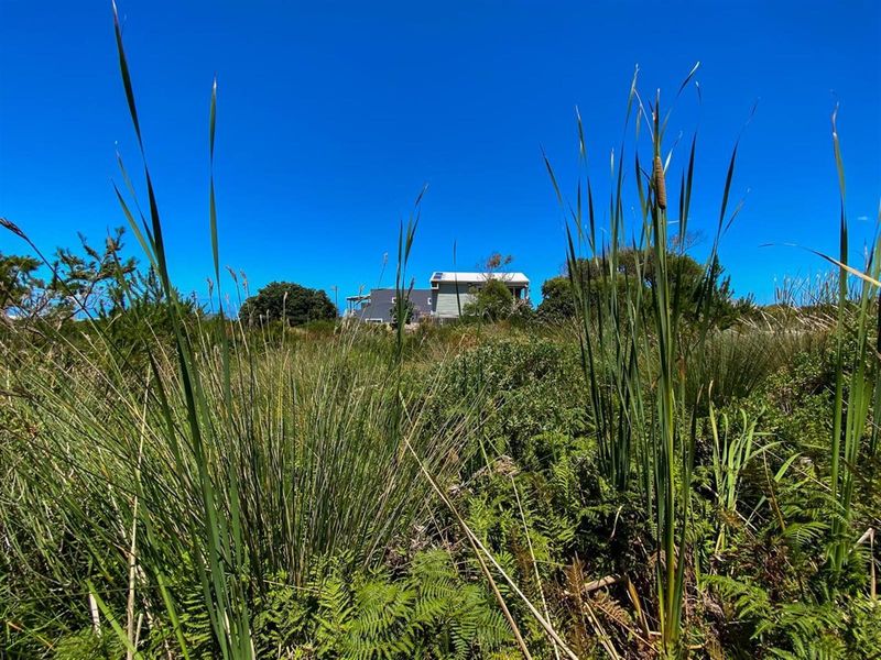 Nature-Lover’s Dream Stand | 880sqm with Kogelberg Mountain Views | Mountain Stream on Site - Photo 3