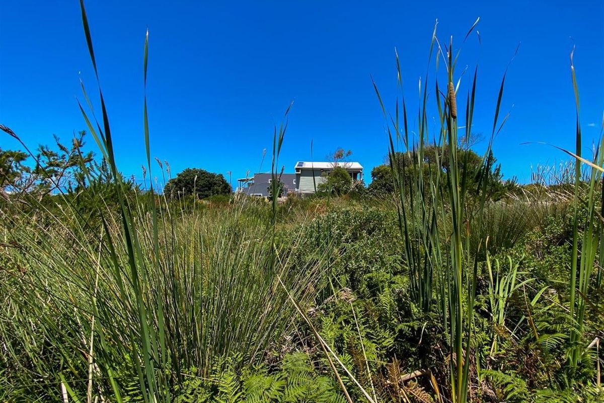 Nature-Lover’s Dream Stand | 880sqm with Kogelberg Mountain Views | Mountain Stream on Site - Photo 3