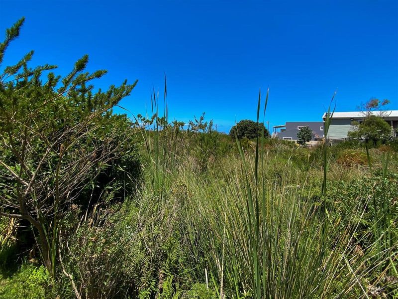 Nature-Lover’s Dream Stand | 880sqm with Kogelberg Mountain Views | Mountain Stream on Site - Photo 4