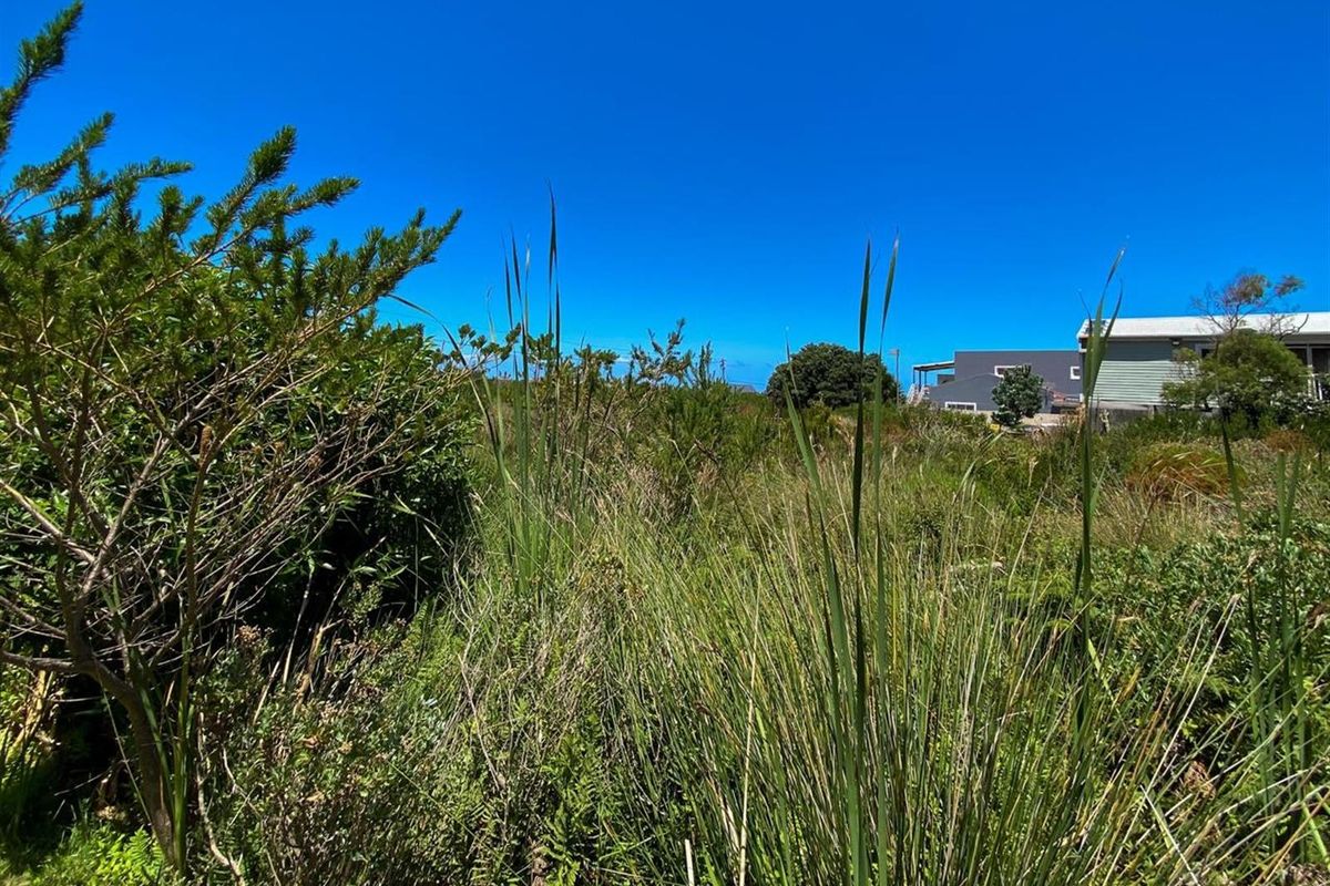 Nature-Lover’s Dream Stand | 880sqm with Kogelberg Mountain Views | Mountain Stream on Site - Photo 4