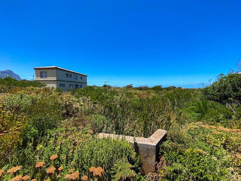 Nature-Lover’s Dream Stand | 880sqm with Kogelberg Mountain Views | Mountain Stream on Site - Photo 8