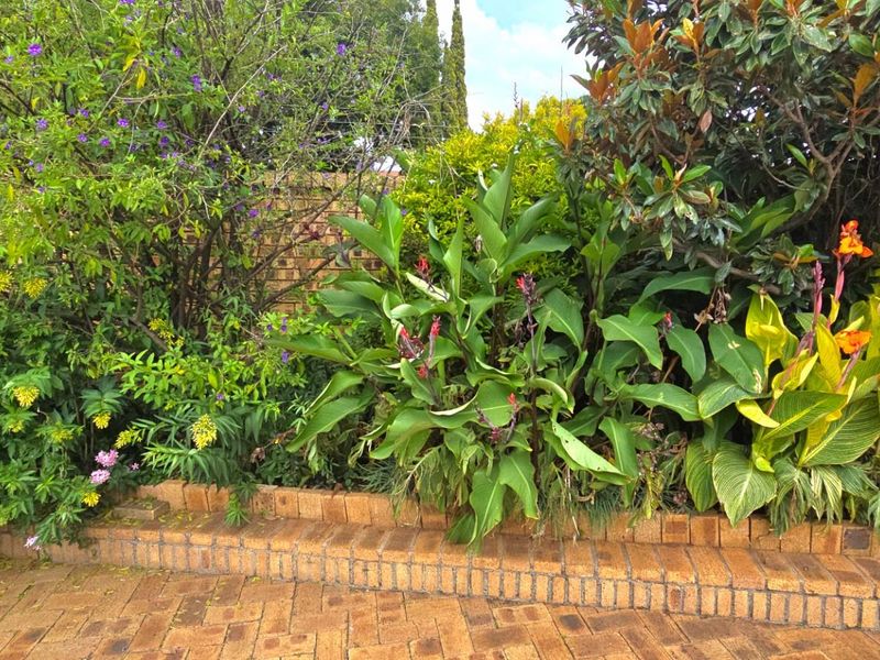 Spacious Family Home with Granny Flat and Solar-Heated Pool - Photo 3