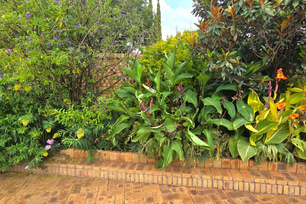 Spacious Family Home with Granny Flat and Solar-Heated Pool - Photo 3