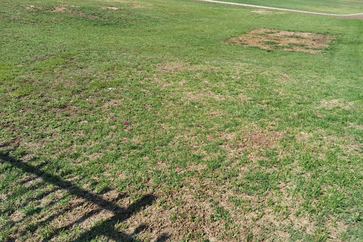 A view of a residential vacant plot featuring a grass lawn and perimeter fencing.