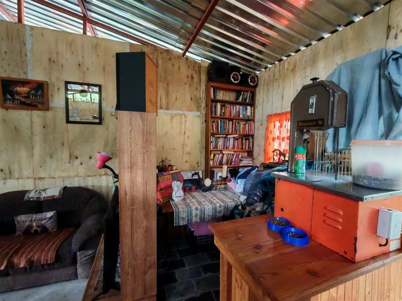 Off-Grid Bushveld Smallholding - 8.5 ha - Cash Offers Welcome! Bela Bela - Photo 8