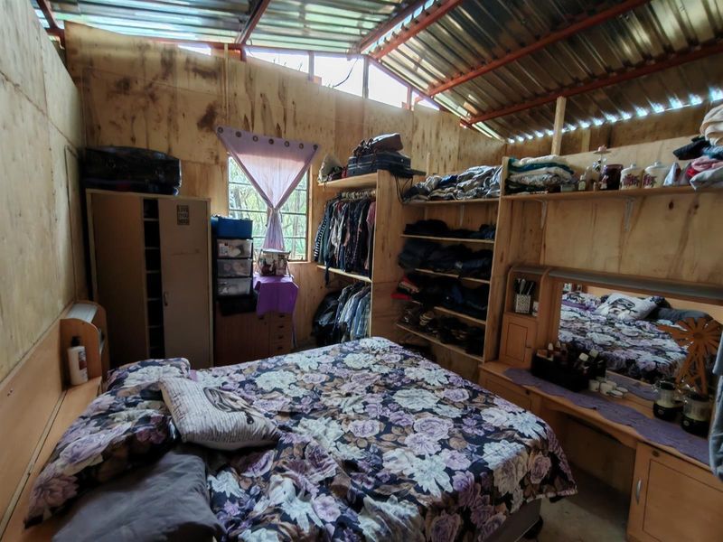 Off-Grid Bushveld Smallholding - 8.5 ha - Cash Offers Welcome! Bela Bela - Photo 7