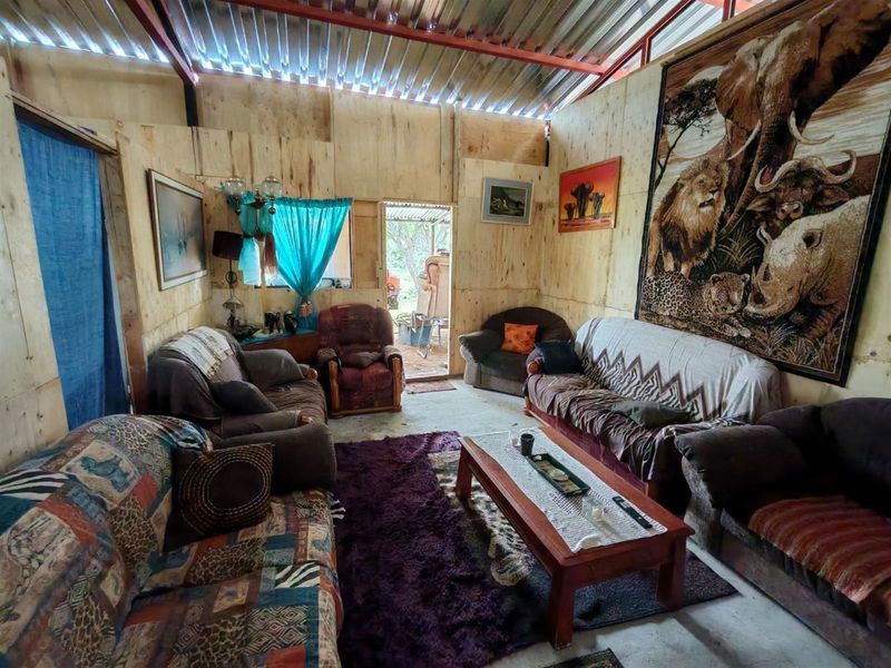 Off-Grid Bushveld Smallholding - 8.5 ha - Cash Offers Welcome! Bela Bela - Photo 6