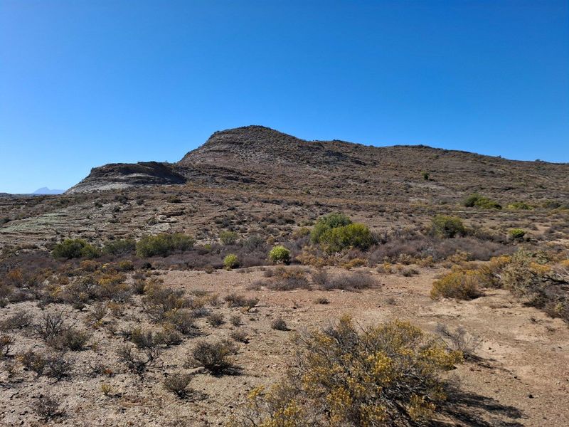 Farm For Sale in Ladismith Rural, Ladismith - Photo 10