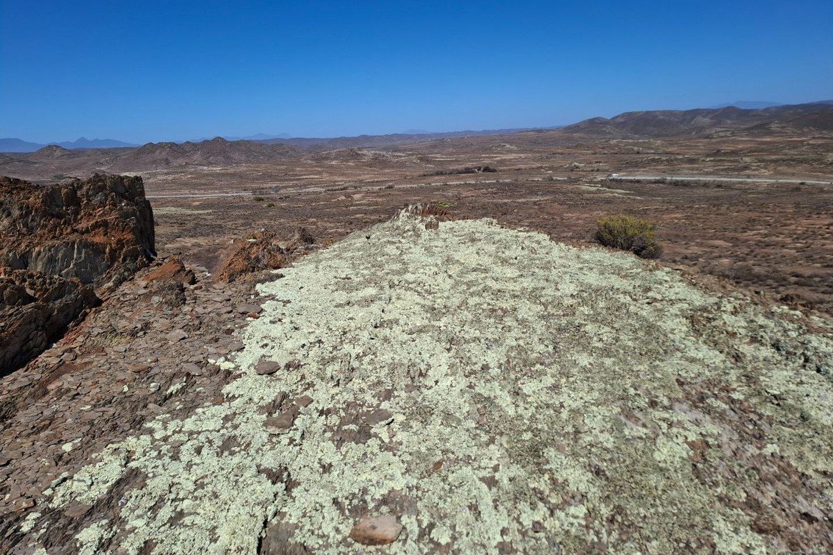 Farm For Sale in Ladismith Rural, Ladismith - Photo 3