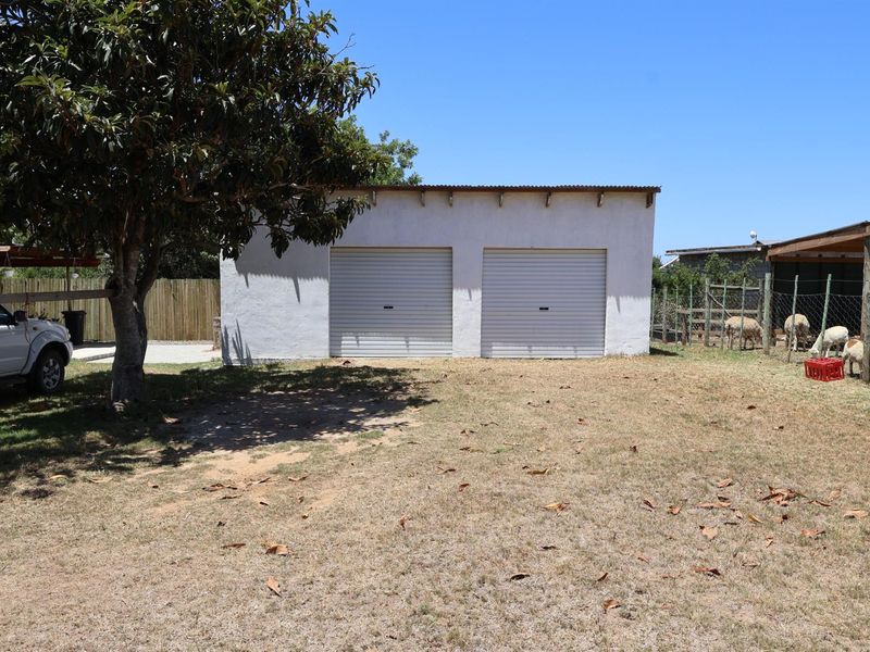 Peaceful Bathurst Smallholding with Space to Grow - Photo 10