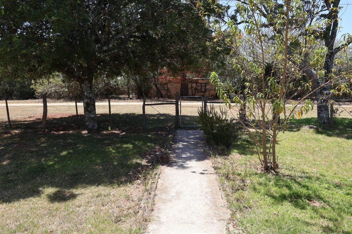 Peaceful Bathurst Smallholding with Space to Grow - Photo 2