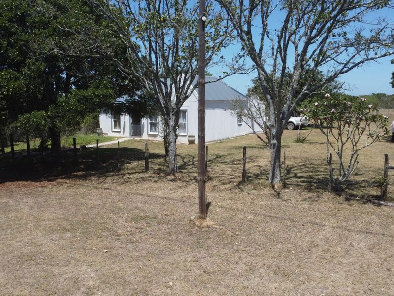 Peaceful Bathurst Smallholding with Space to Grow - Photo 5