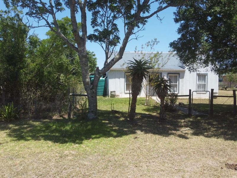 Peaceful Bathurst Smallholding with Space to Grow - Photo 4
