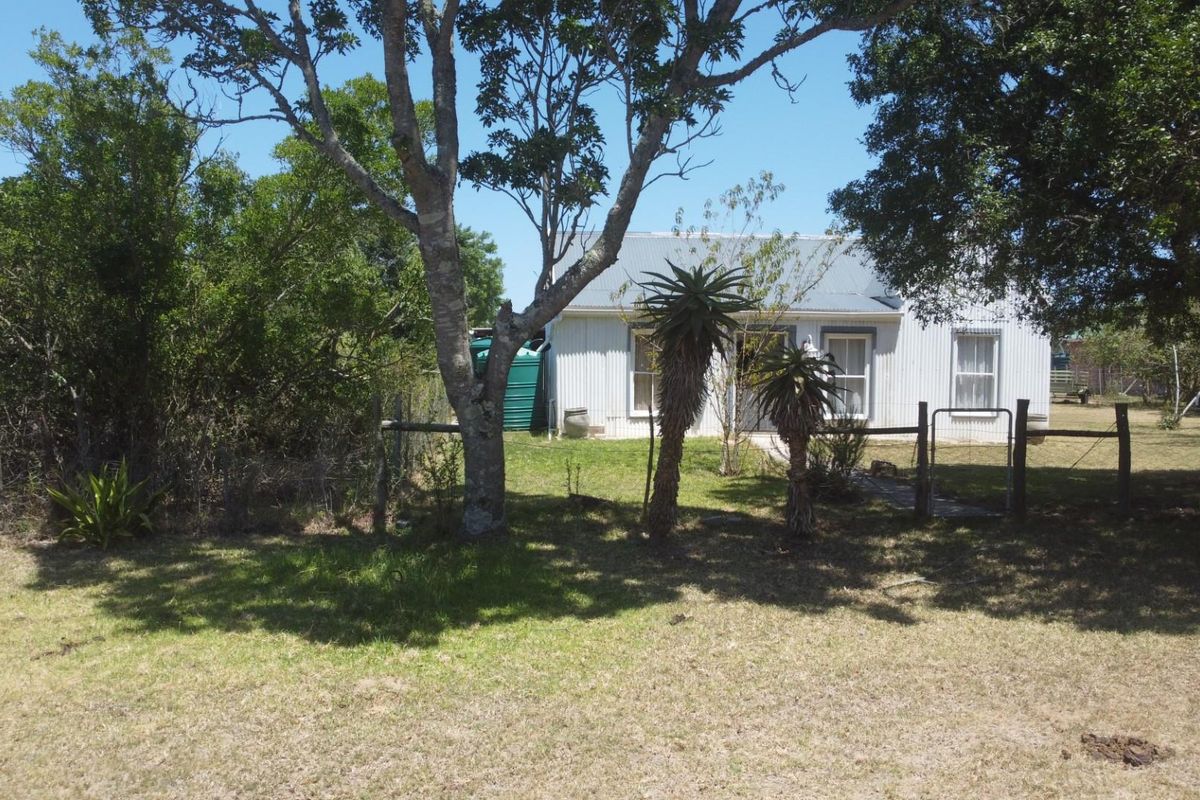 Peaceful Bathurst Smallholding with Space to Grow - Photo 4