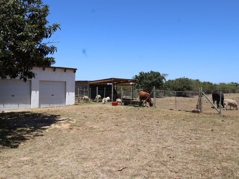 Peaceful Bathurst Smallholding with Space to Grow - Photo 8