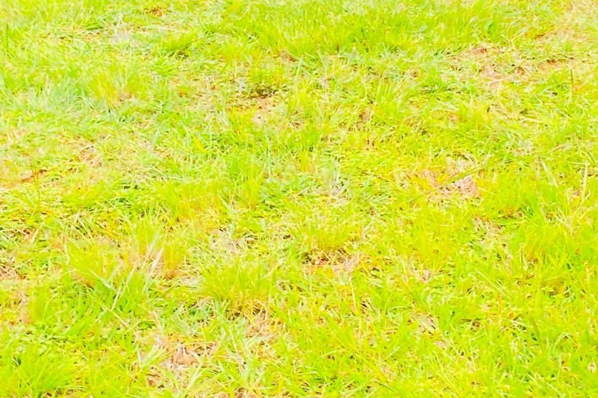 Vacant Land For Sale in Vulintaba Country Estate, Newcastle, KwaZulu Natal - Photo 5