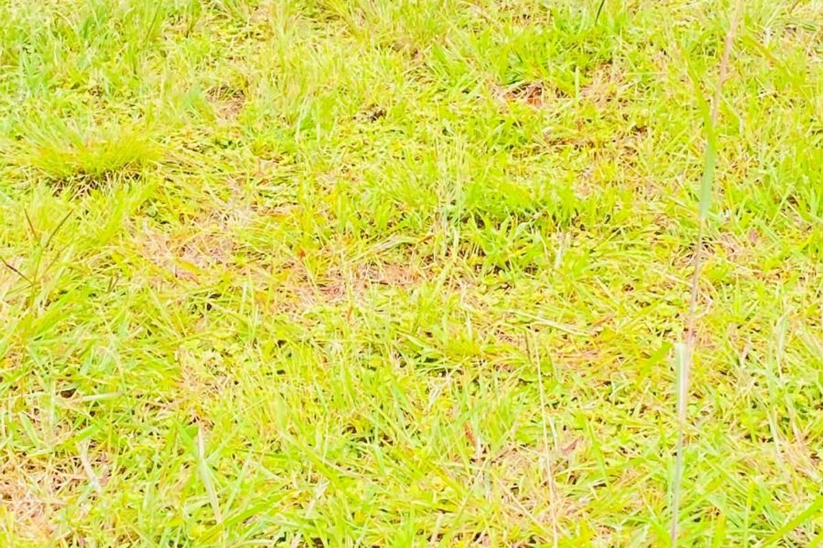 Vacant Land For Sale in Vulintaba Country Estate, Newcastle, KwaZulu Natal - Photo 2