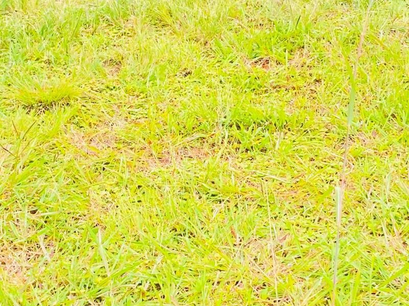 Vacant Land For Sale in Vulintaba Country Estate, Newcastle, KwaZulu Natal - Photo 4