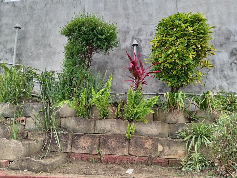 Your dream home in the heart of Brindhaven - Photo 4