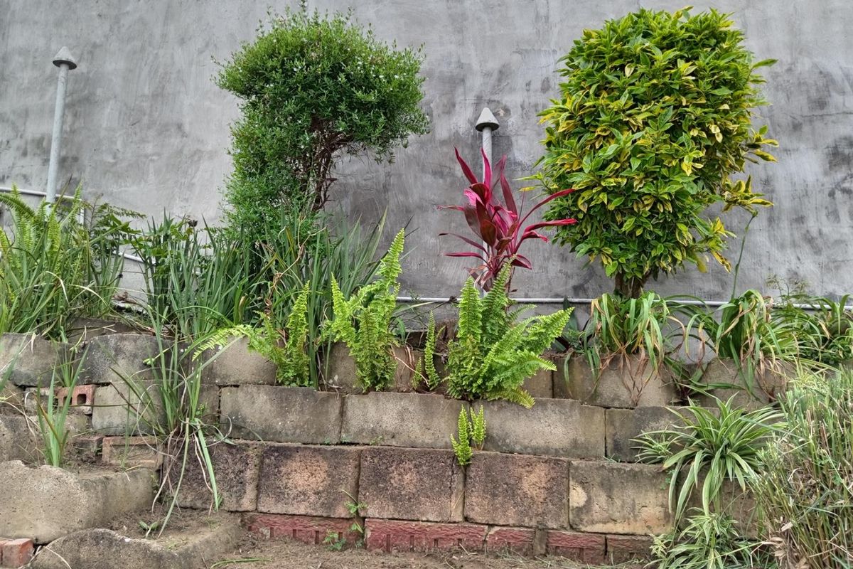 Your dream home in the heart of Brindhaven - Photo 4