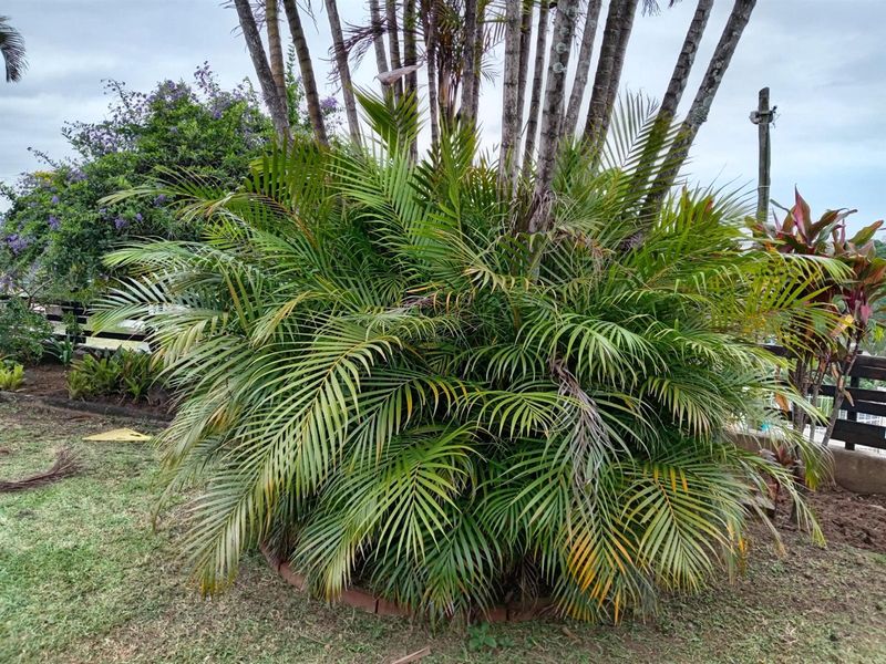 Your dream home in the heart of Brindhaven - Photo 3