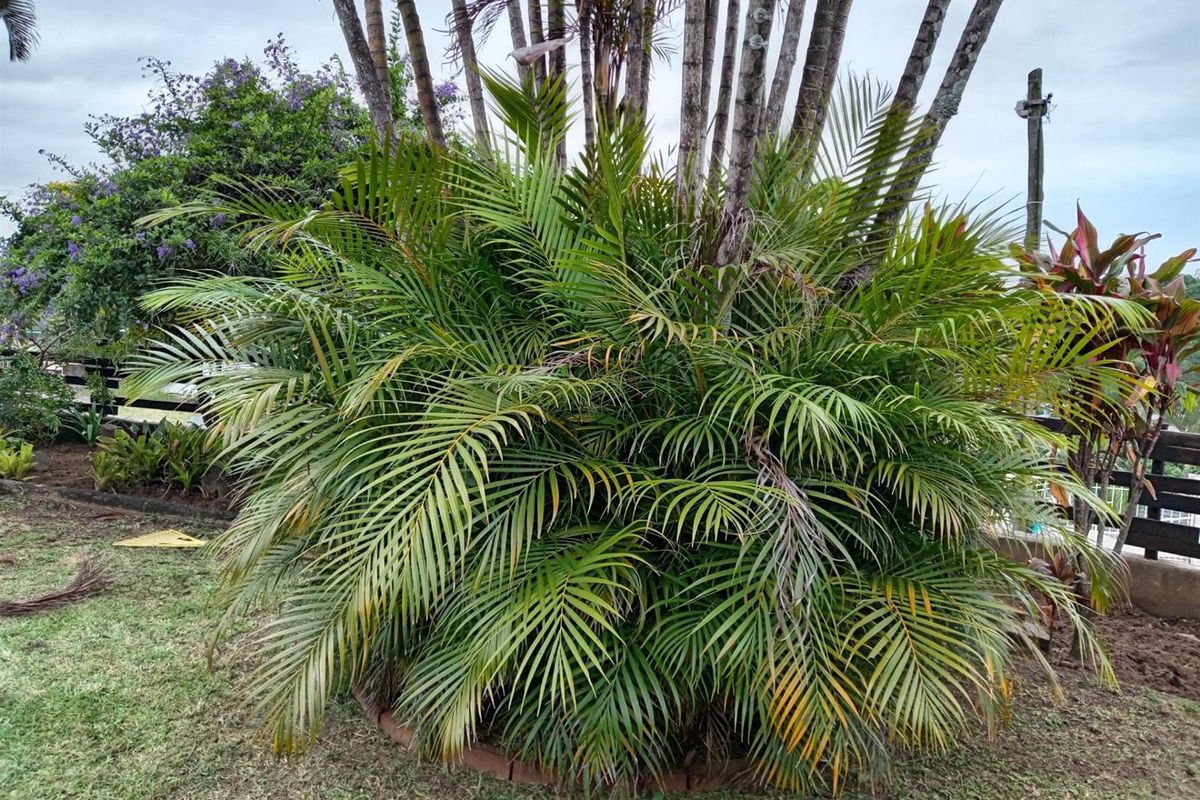 Your dream home in the heart of Brindhaven - Photo 3