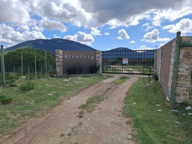 Farm UNDER OFFER in Albertinia - Photo 5