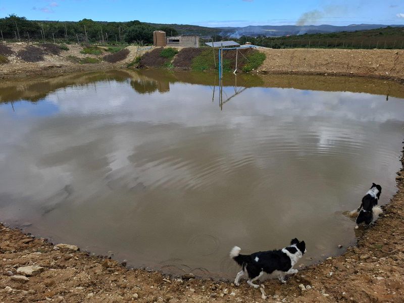 Farm UNDER OFFER in Albertinia - Photo 3