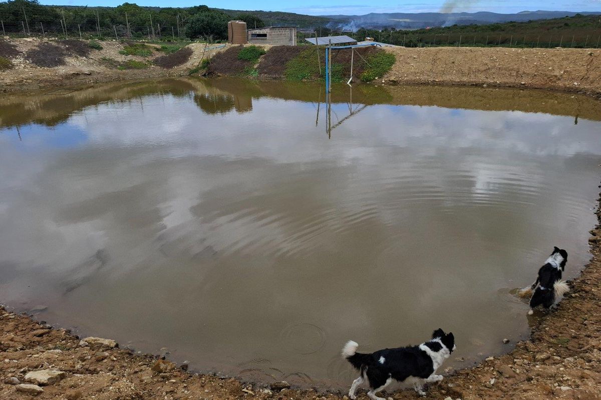 Farm UNDER OFFER in Albertinia - Photo 3