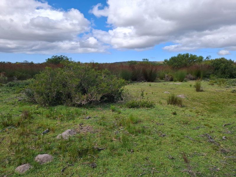 Farm UNDER OFFER in Albertinia - Photo 9