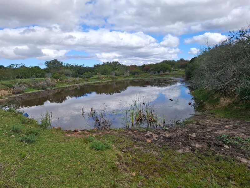 Farm UNDER OFFER in Albertinia - Photo 7