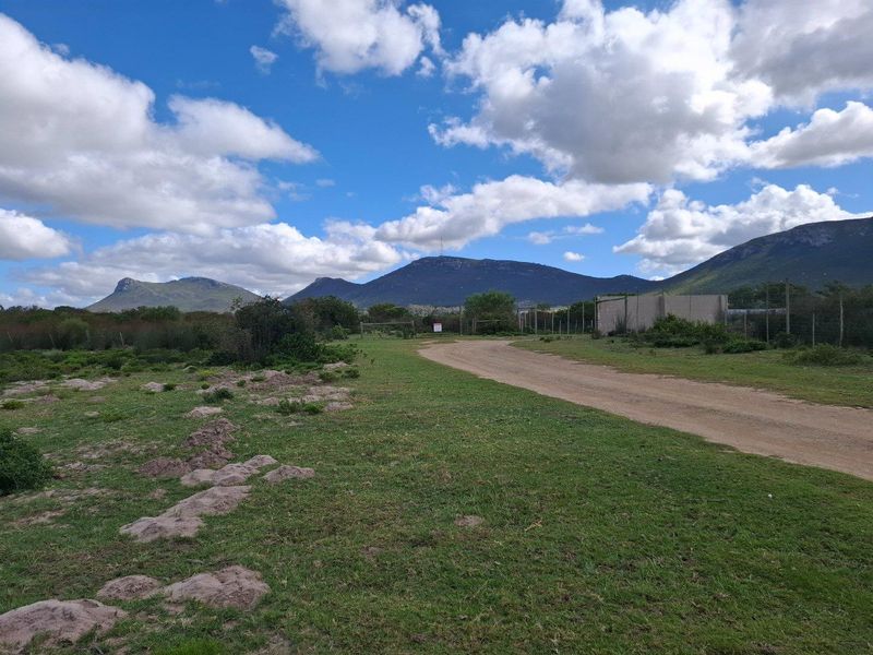 Farm UNDER OFFER in Albertinia - Photo 6