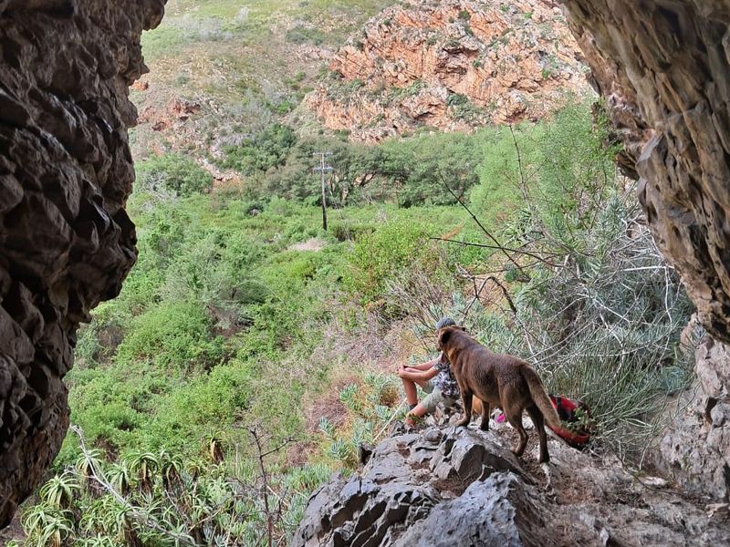 Farm For Sale in Albertinia - Photo 3