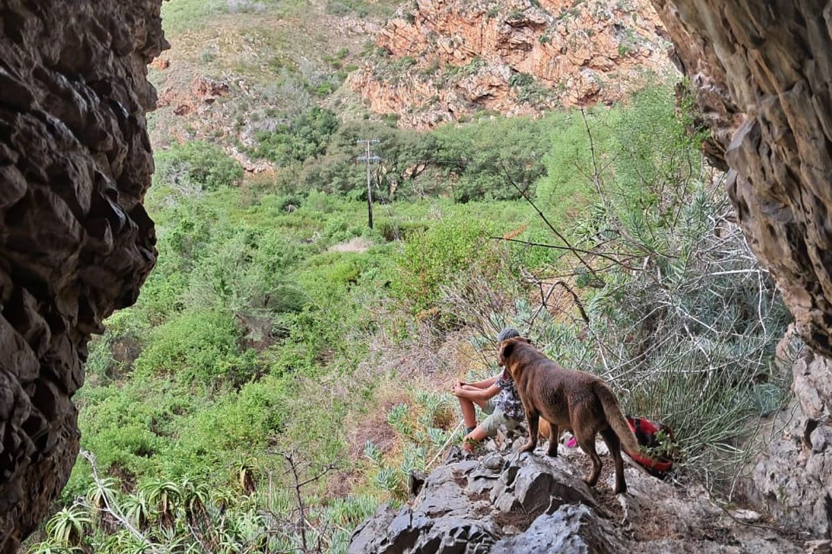 Farm For Sale in Albertinia - Photo 3