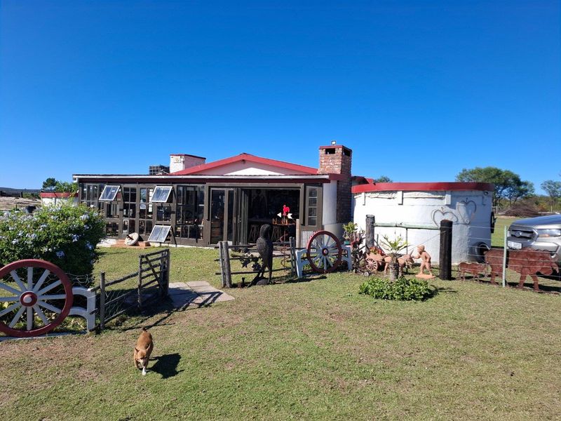 Farm For Sale in Albertinia - Photo 4