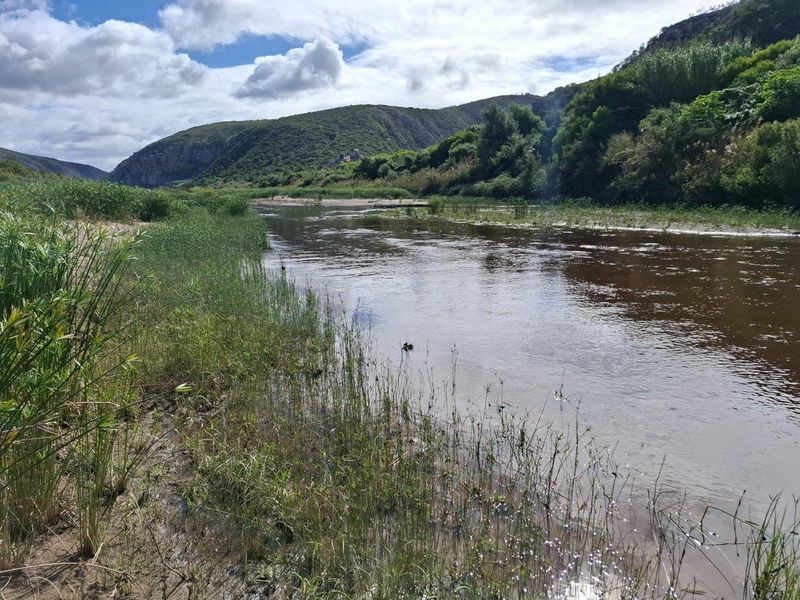 Farm For Sale in Albertinia - Photo 2