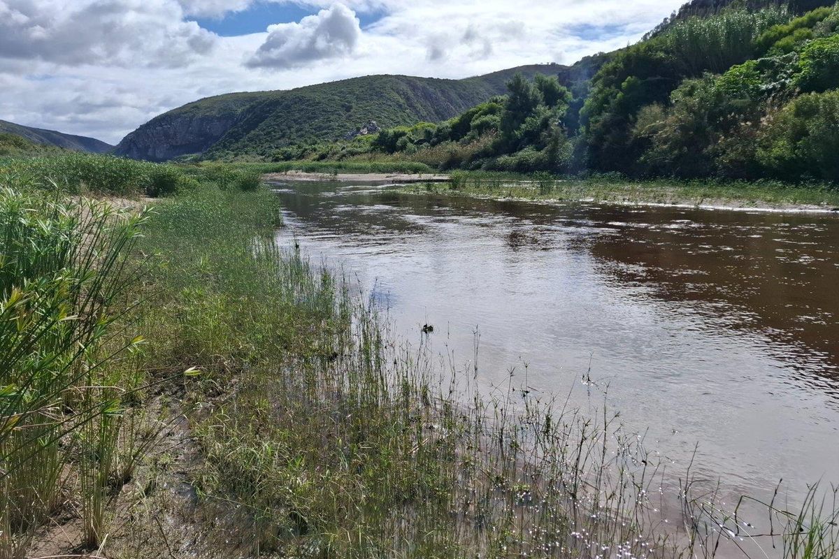 Farm For Sale in Albertinia - Photo 2