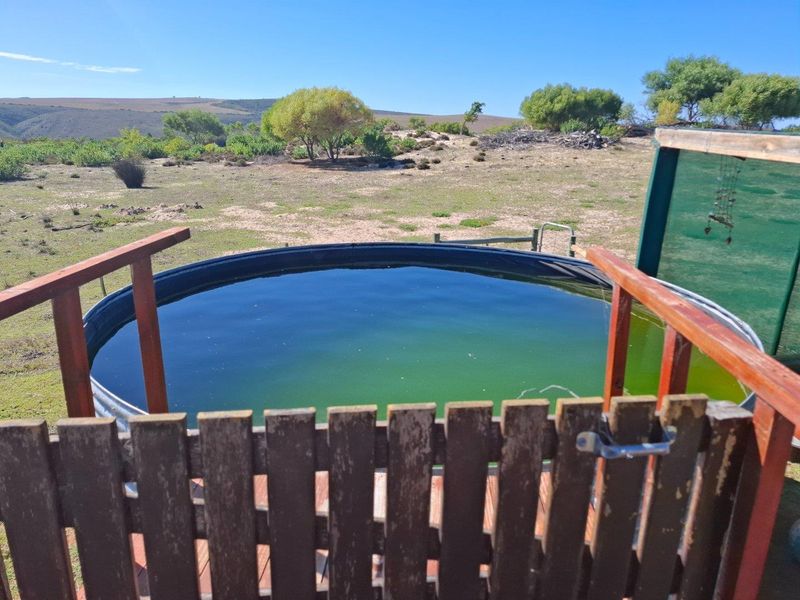 Farm For Sale in Albertinia - Photo 8