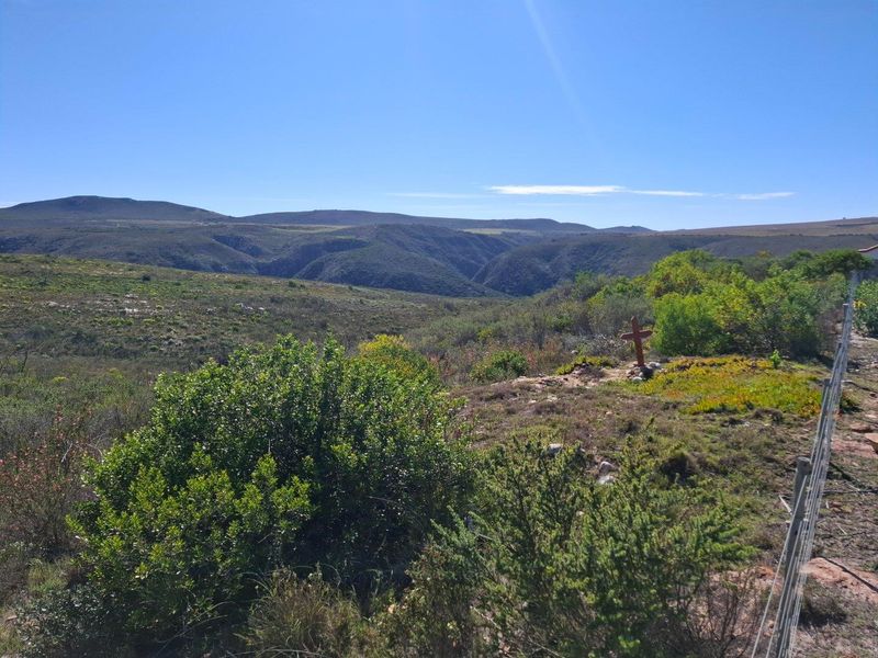 Farm For Sale in Albertinia - Photo 6