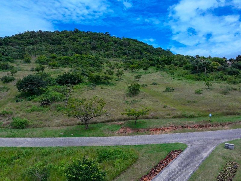 Vacant Land For Sale in Likweti Bushveld Farm Estate, White River - Photo 9