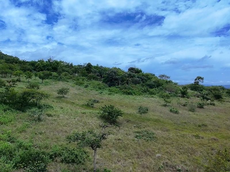 Vacant Land For Sale in Likweti Bushveld Farm Estate, White River - Photo 4