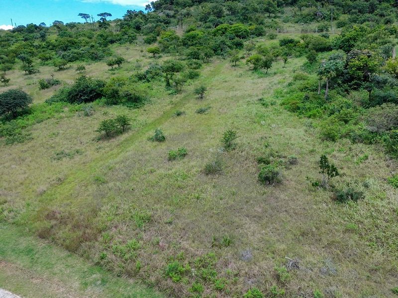 Vacant Land For Sale in Likweti Bushveld Farm Estate, White River - Photo 2