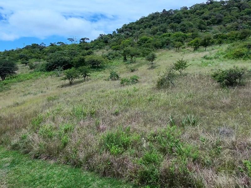 Vacant Land For Sale in Likweti Bushveld Farm Estate, White River - Photo 3