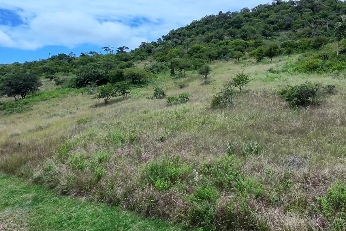 Vacant Land For Sale in Likweti Bushveld Farm Estate, White River - Photo 3