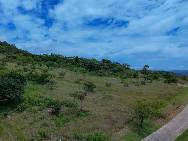 Vacant Land For Sale in Likweti Bushveld Farm Estate, White River - Photo 8