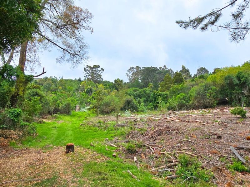 Prime Vacant Stand Overlooking the Golf Course  Simola Golf Estate - Photo 8