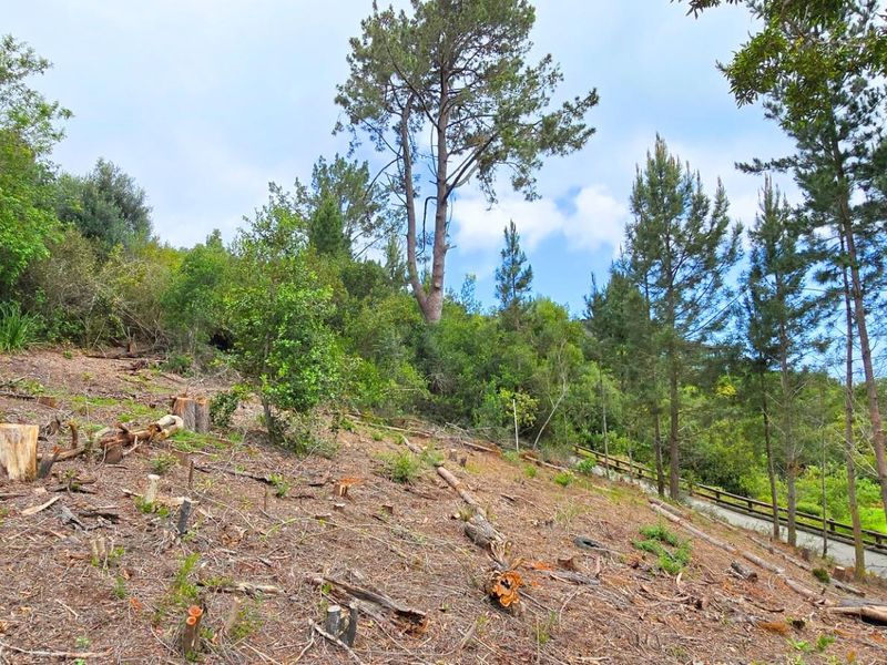 Prime Vacant Stand Overlooking the Golf Course  Simola Golf Estate - Photo 6