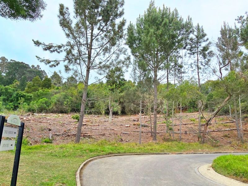 Prime Vacant Stand Overlooking the Golf Course  Simola Golf Estate - Photo 7